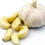 Image of garlic