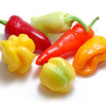 Image of peppers