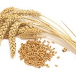 Image of wheat